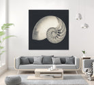 Shell I by YK Studio on GIANT ART - beige nautical