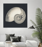 Shell I by YK Studio on GIANT ART - beige nautical