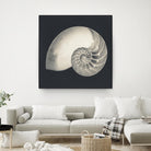 Shell I by YK Studio on GIANT ART - beige nautical