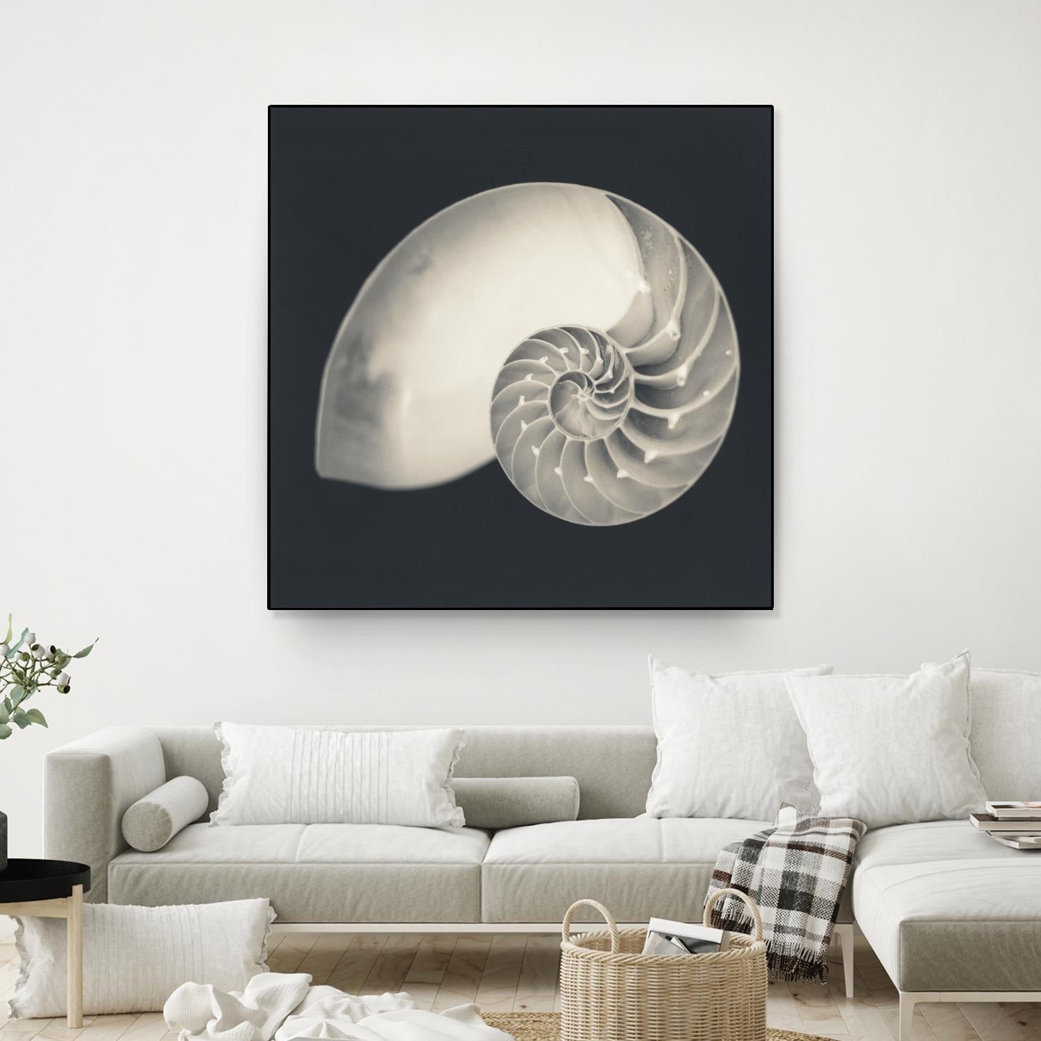 Shell I by YK Studio on GIANT ART - beige nautical