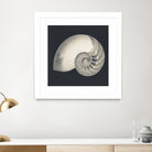 Shell I by YK Studio on GIANT ART - beige nautical