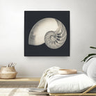 Shell I by YK Studio on GIANT ART - beige nautical