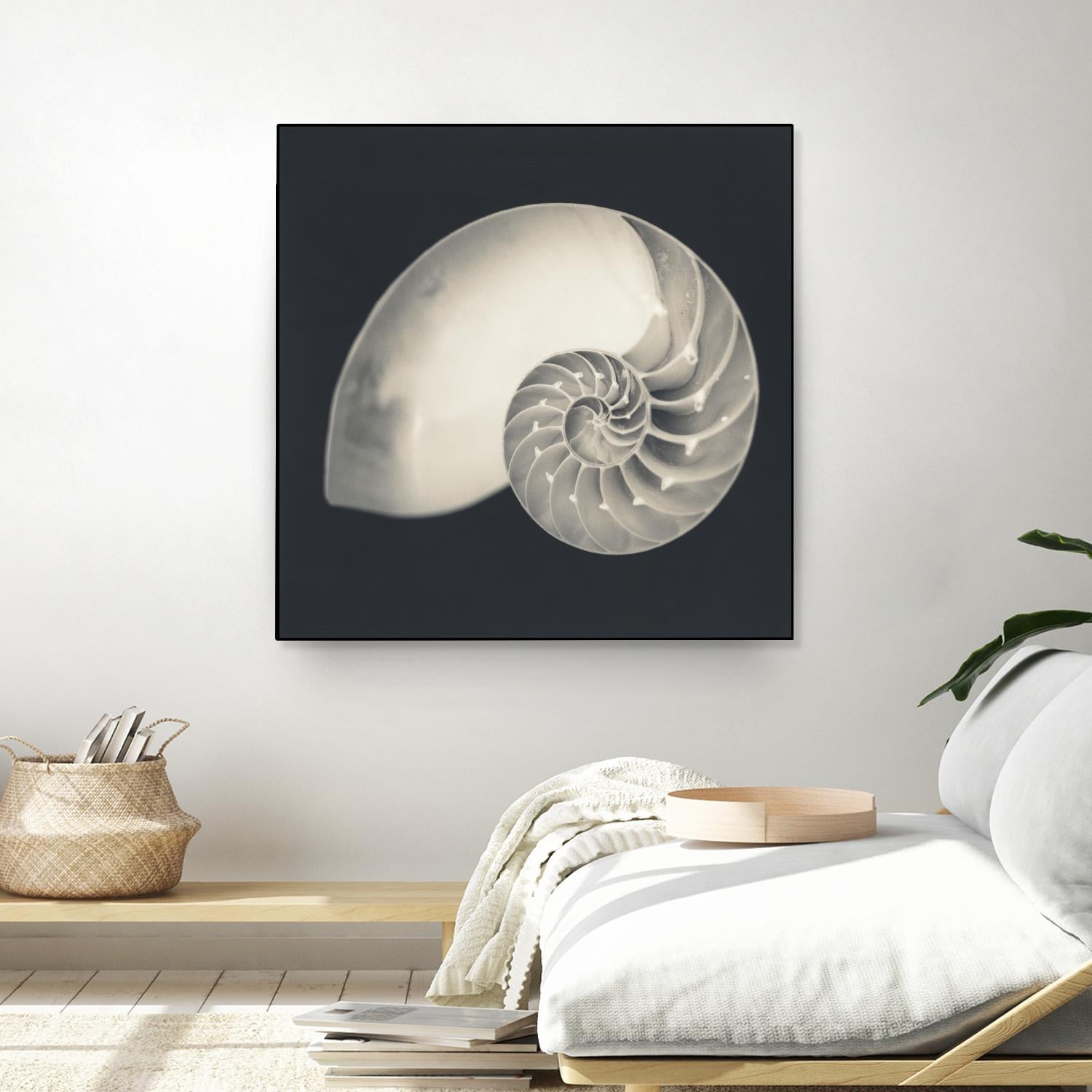 Shell I by YK Studio on GIANT ART - beige nautical