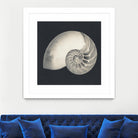 Shell I by YK Studio on GIANT ART - beige nautical