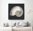Shell I by YK Studio on GIANT ART - beige nautical