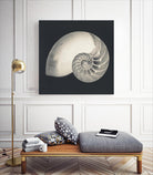 Shell I by YK Studio on GIANT ART - beige nautical