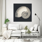 Shell I by YK Studio on GIANT ART - beige nautical