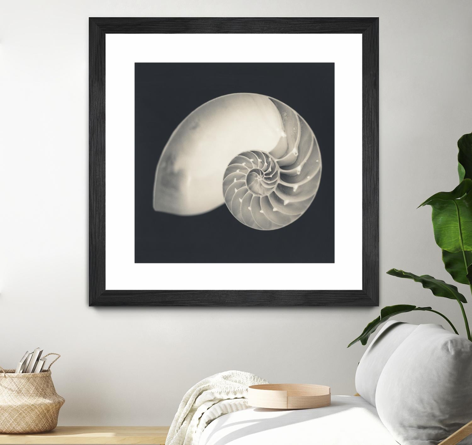 Shell I by YK Studio on GIANT ART - beige nautical