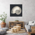 Shell I by YK Studio on GIANT ART - beige nautical