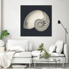 Shell I by YK Studio on GIANT ART - beige nautical