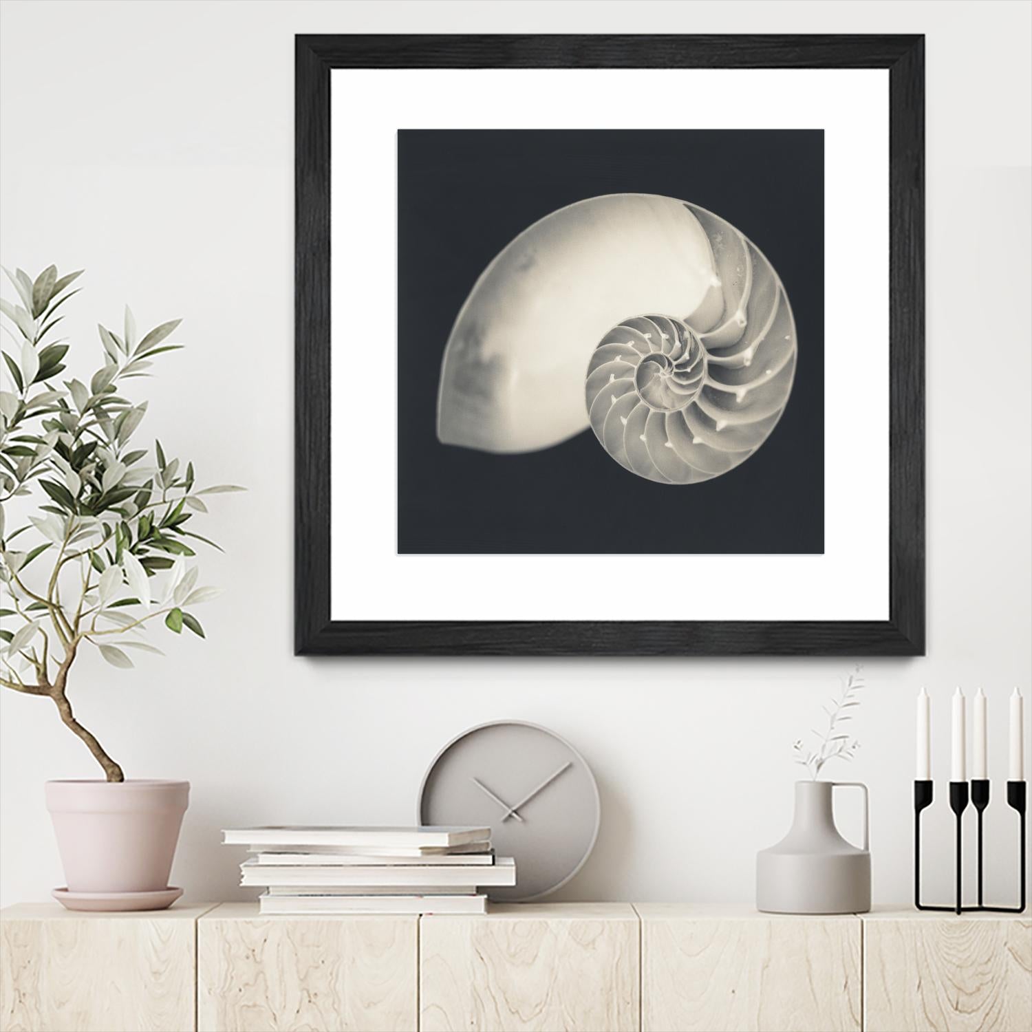 Shell I by YK Studio on GIANT ART - beige nautical