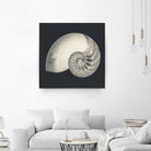 Shell I by YK Studio on GIANT ART - beige nautical