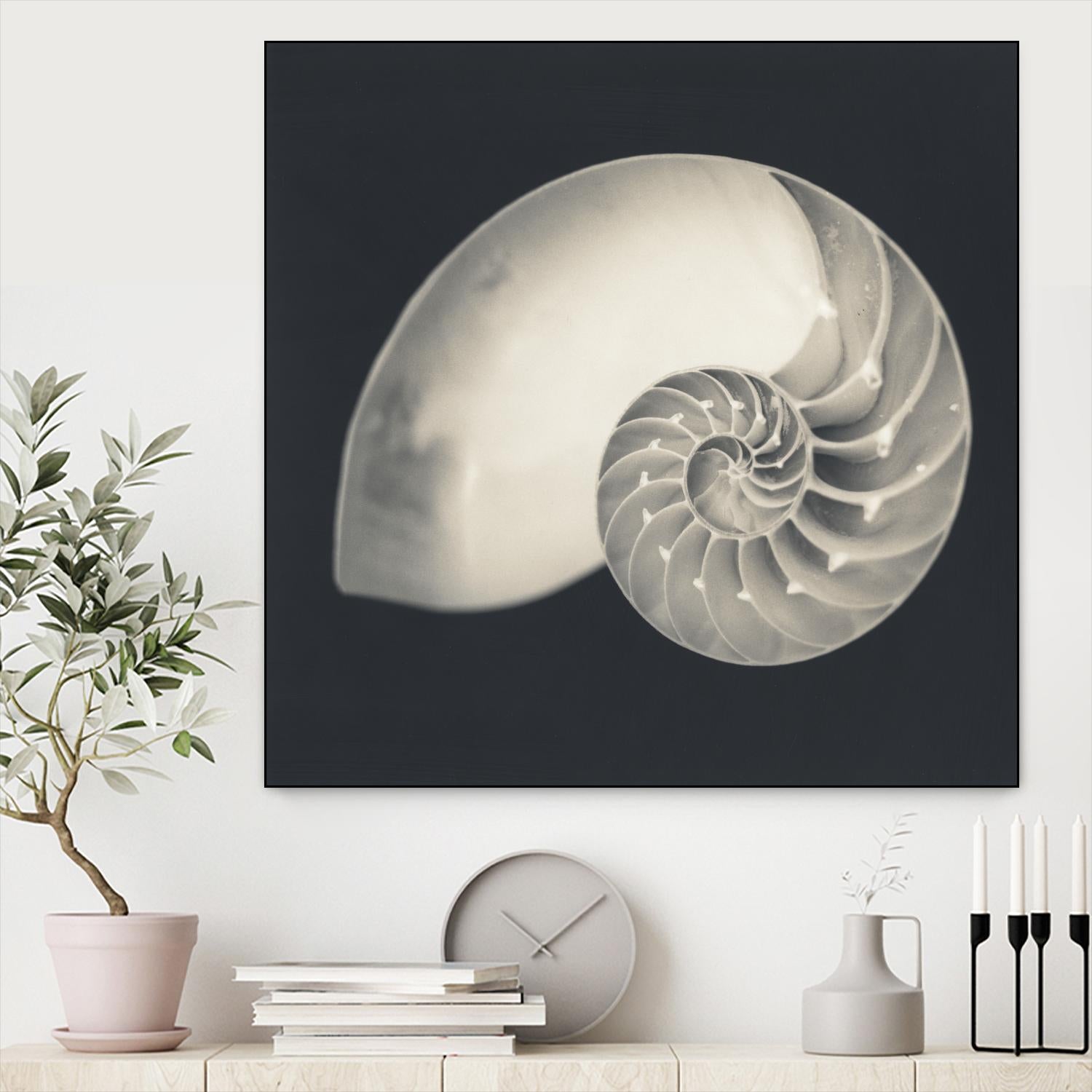 Shell I by YK Studio on GIANT ART - beige nautical