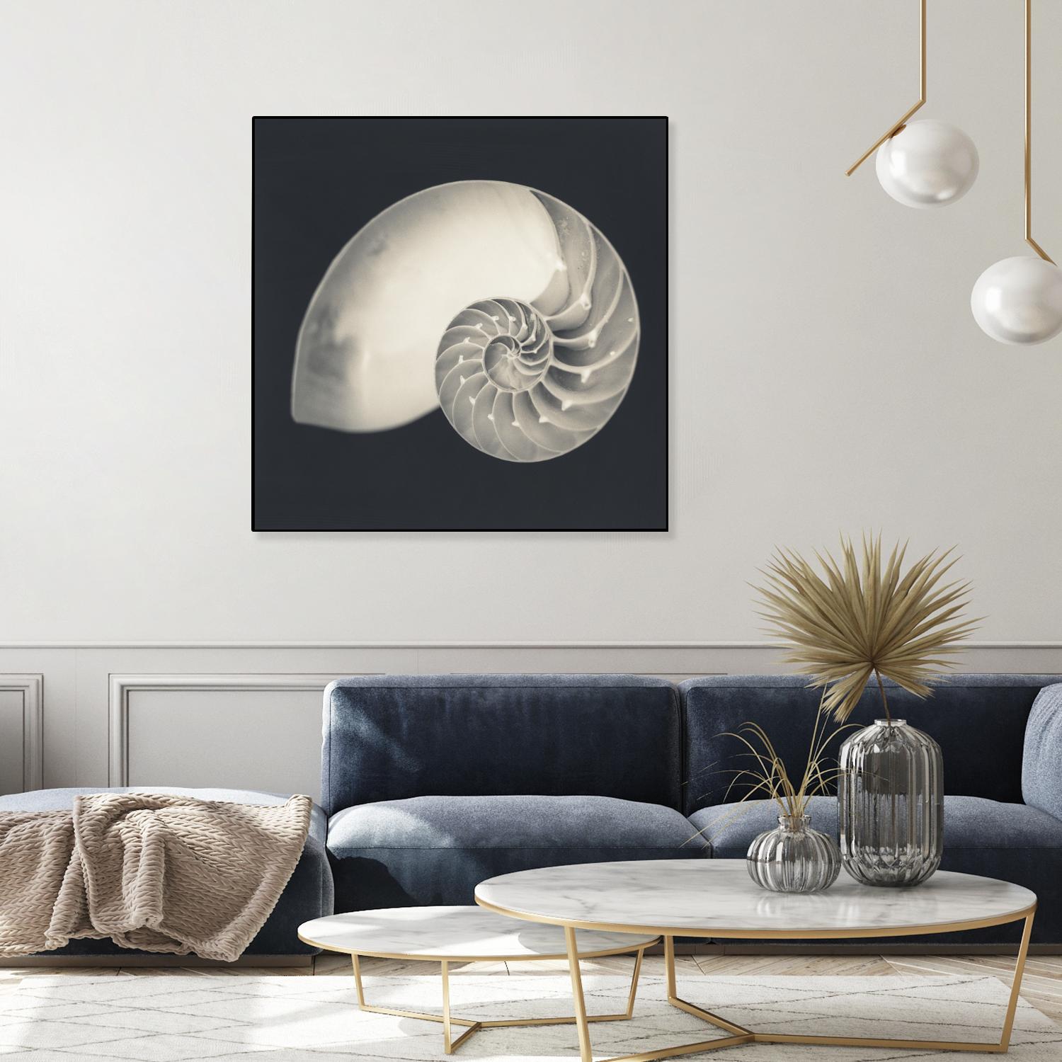 Shell I by YK Studio on GIANT ART - beige nautical