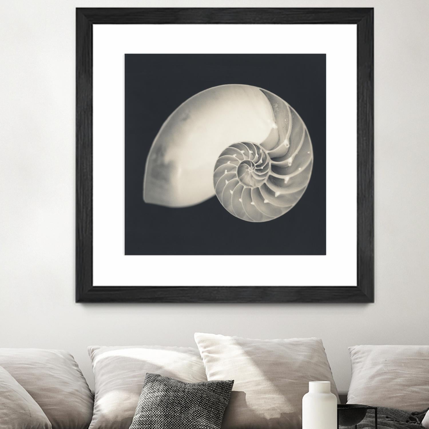 Shell I by YK Studio on GIANT ART - beige nautical