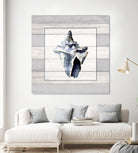 Muted Blue Sea Conch On Wood by Lanie Loreth on GIANT ART - coastal