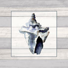Muted Blue Sea Conch On Wood by Lanie Loreth on GIANT ART - coastal