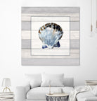 Muted Blue Sea Shell on Wood by Lanie Loreth on GIANT ART - coastal