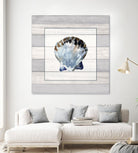 Muted Blue Sea Shell on Wood by Lanie Loreth on GIANT ART - coastal