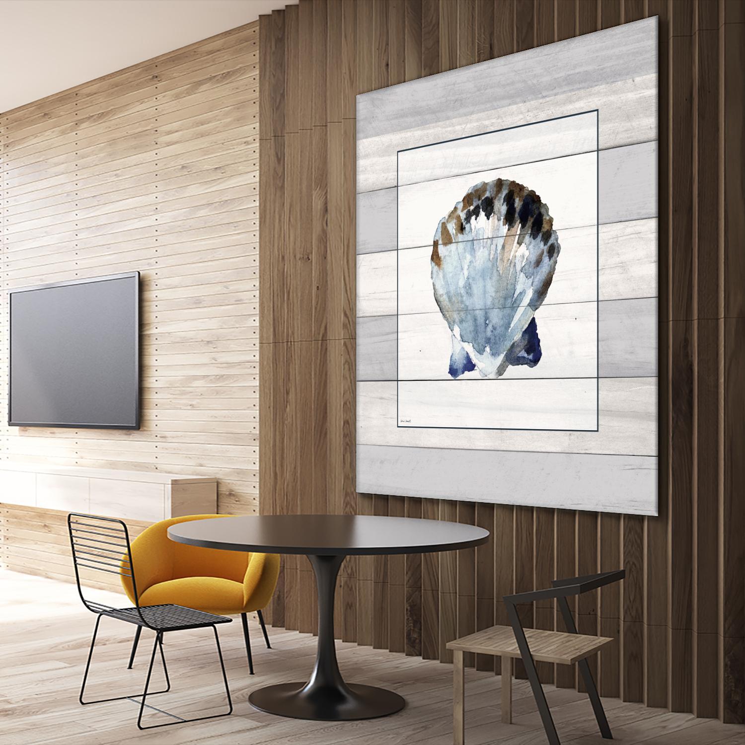 Muted Blue Sea Shell on Wood by Lanie Loreth on GIANT ART - coastal