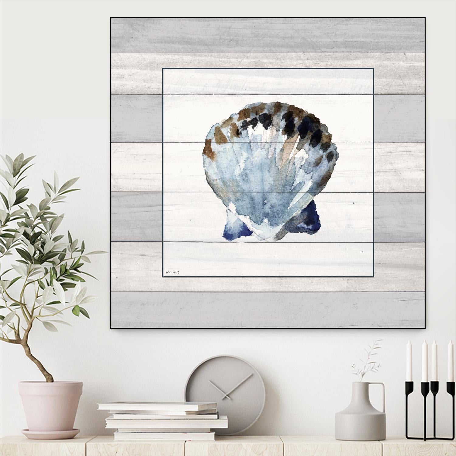 Muted Blue Sea Shell on Wood by Lanie Loreth on GIANT ART - coastal