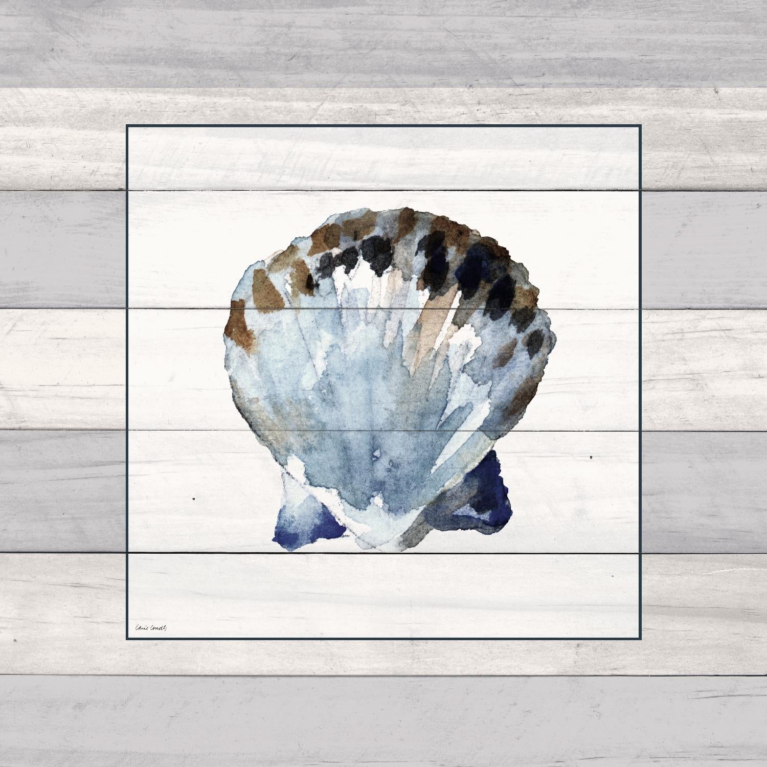 Muted Blue Sea Shell on Wood by Lanie Loreth on GIANT ART - coastal