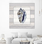 Muted Blue Conch on Wood by Lanie Loreth on GIANT ART - coastal