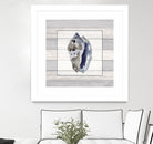 Muted Blue Conch on Wood by Lanie Loreth on GIANT ART - coastal