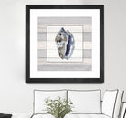 Muted Blue Conch on Wood by Lanie Loreth on GIANT ART - coastal