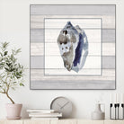 Muted Blue Conch on Wood by Lanie Loreth on GIANT ART - coastal