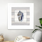 Muted Blue Conch on Wood by Lanie Loreth on GIANT ART - coastal