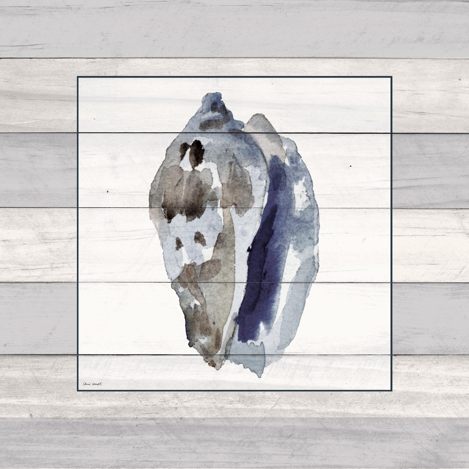 Muted Blue Conch on Wood by Lanie Loreth on GIANT ART - coastal