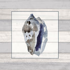 Muted Blue Conch on Wood by Lanie Loreth on GIANT ART - coastal