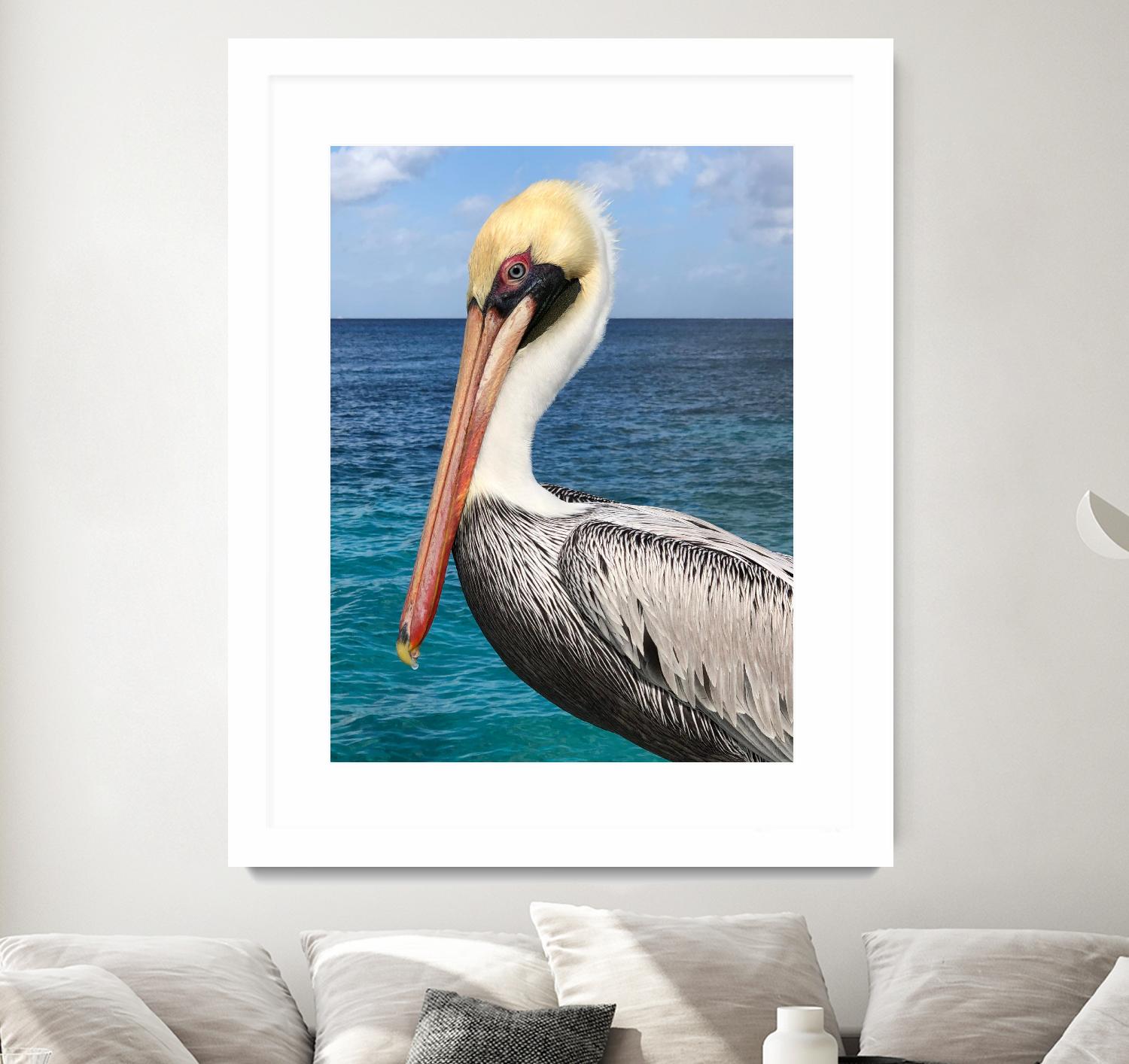 Pelican by Julie DeRice on GIANT ART - coastal photography