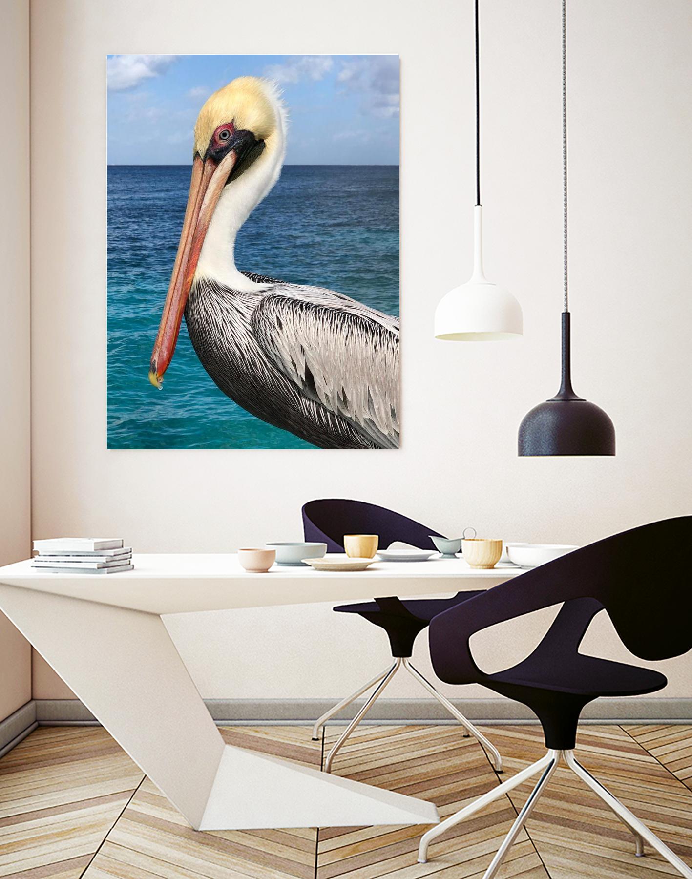 Pelican by Julie DeRice on GIANT ART - coastal photography