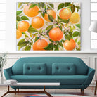 Tropical Oranges by Diannart on GIANT ART - fruit farm