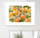 Tropical Oranges by Diannart on GIANT ART - fruit farm