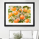 Tropical Oranges by Diannart on GIANT ART - fruit farm
