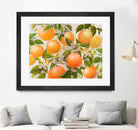 Tropical Oranges by Diannart on GIANT ART - fruit farm
