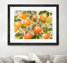 Tropical Oranges by Diannart on GIANT ART - fruit farm