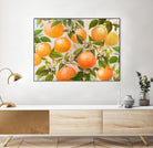 Tropical Oranges by Diannart on GIANT ART - fruit farm