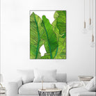 Jungle Leaves by Jen Bucheli on GIANT ART - floral leaves