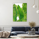 Jungle Leaves by Jen Bucheli on GIANT ART - floral leaves