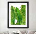 Jungle Leaves by Jen Bucheli on GIANT ART - floral leaves