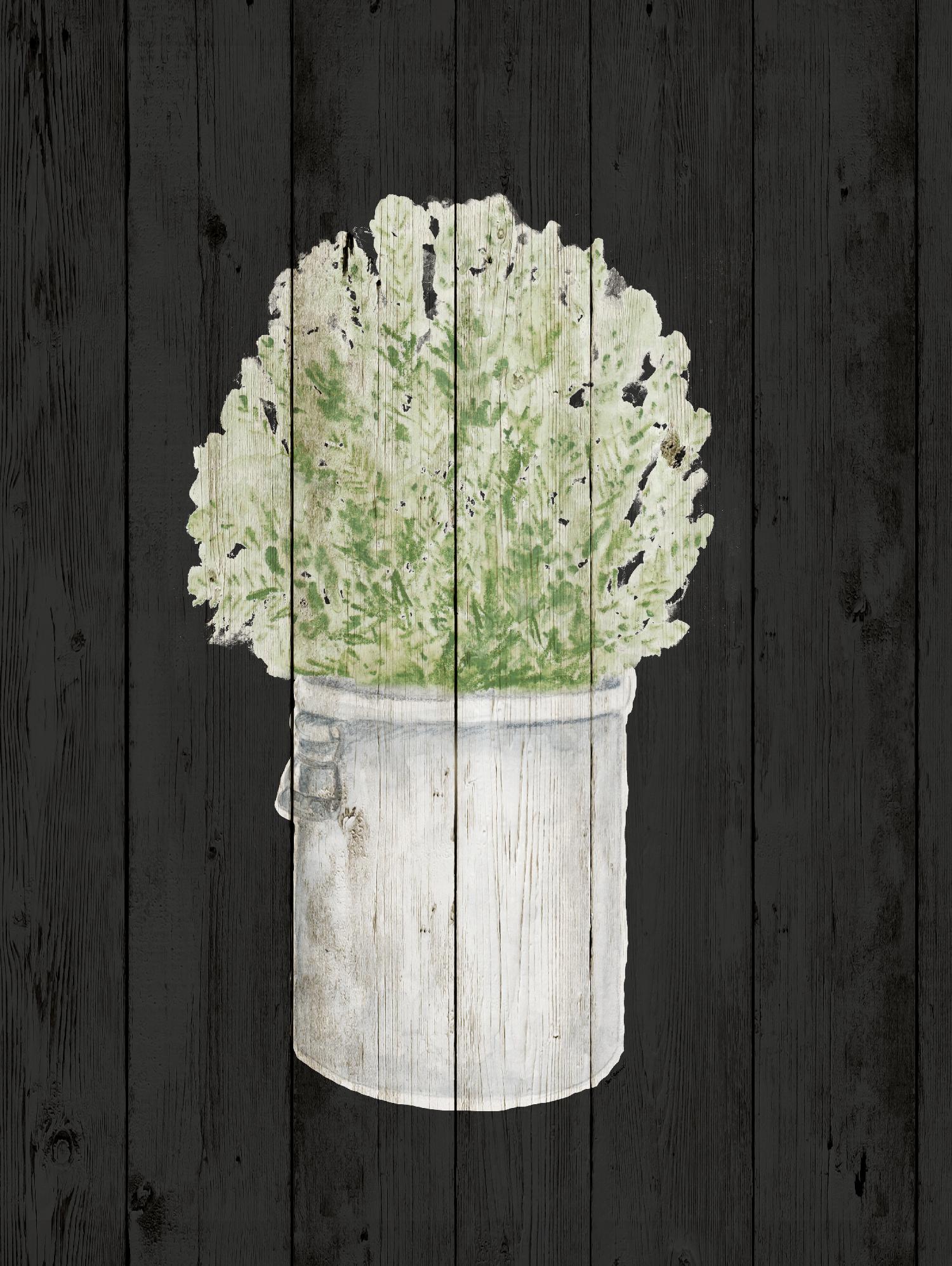 Herbs on Black Wood II by Janice Gaynor on GIANT ART - farm