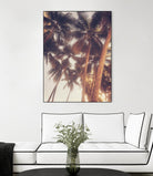 Vintage Palms by Acosta on GIANT ART - photography coastal