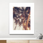 Vintage Palms by Acosta on GIANT ART - photography coastal