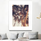 Vintage Palms by Acosta on GIANT ART - photography coastal