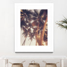 Vintage Palms by Acosta on GIANT ART - photography coastal