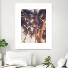 Vintage Palms by Acosta on GIANT ART - photography coastal